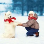 Ako sa správne starať v zime o svojho psíka